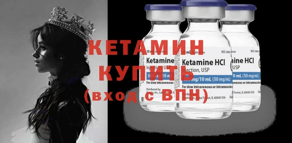 сатива Новодвинск