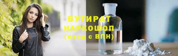 сатива Новодвинск