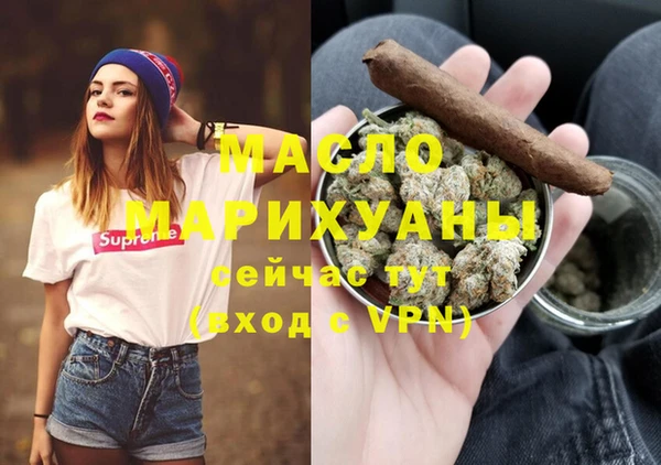 сатива Новодвинск