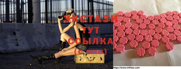 сатива Новодвинск