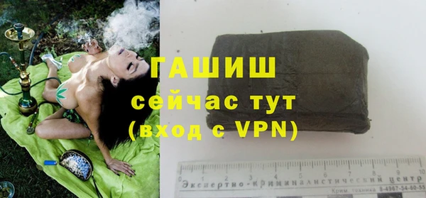 сатива Новодвинск
