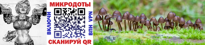 kraken   Белебей  Псилоцибиновые грибы мухоморы 
