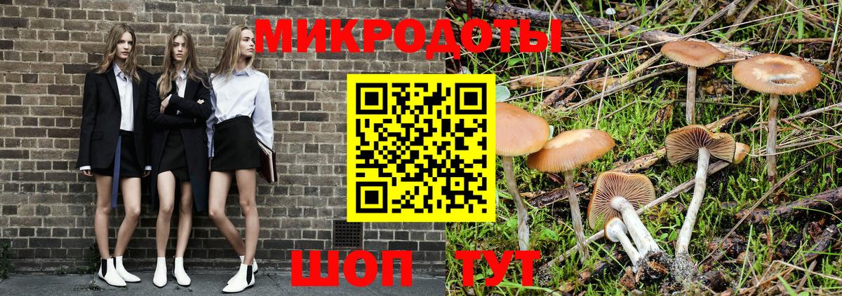Псилоцибиновые грибы мицелий Белебей